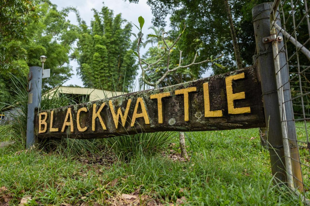 Blackwattle Farm Beerwah Exterior photo