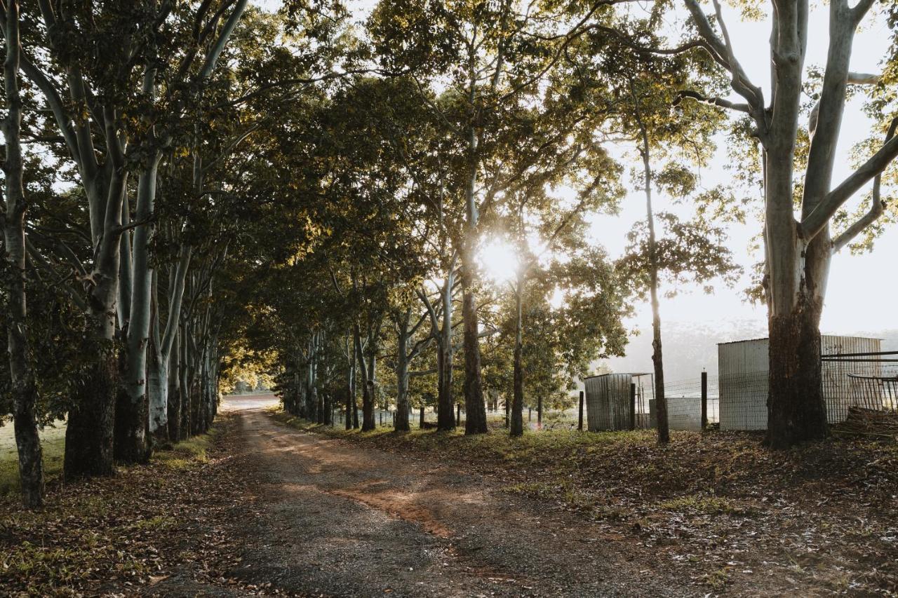 Blackwattle Farm Beerwah Exterior photo