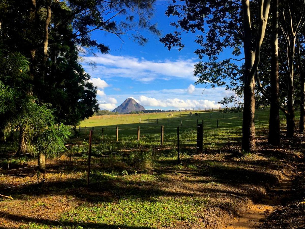 Blackwattle Farm Beerwah Room photo