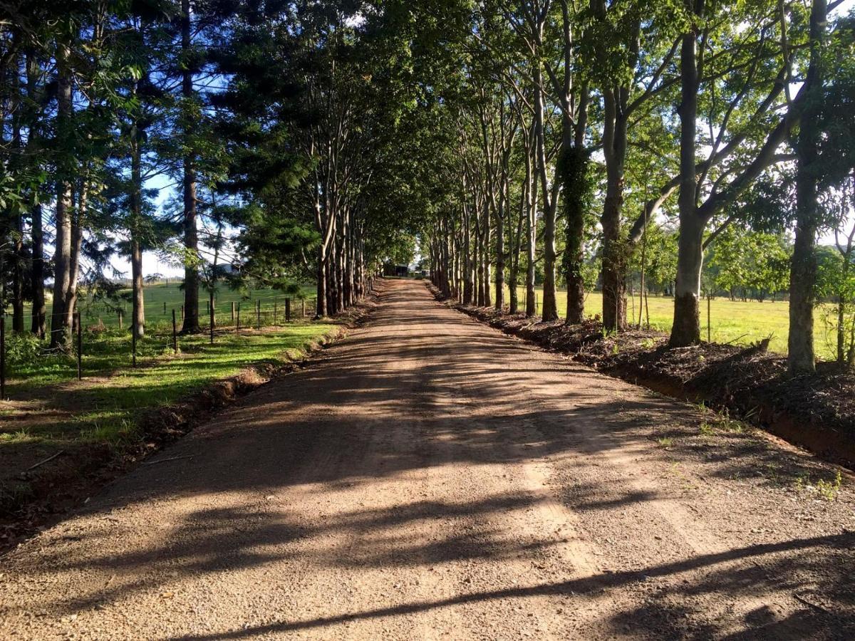 Blackwattle Farm Beerwah Room photo