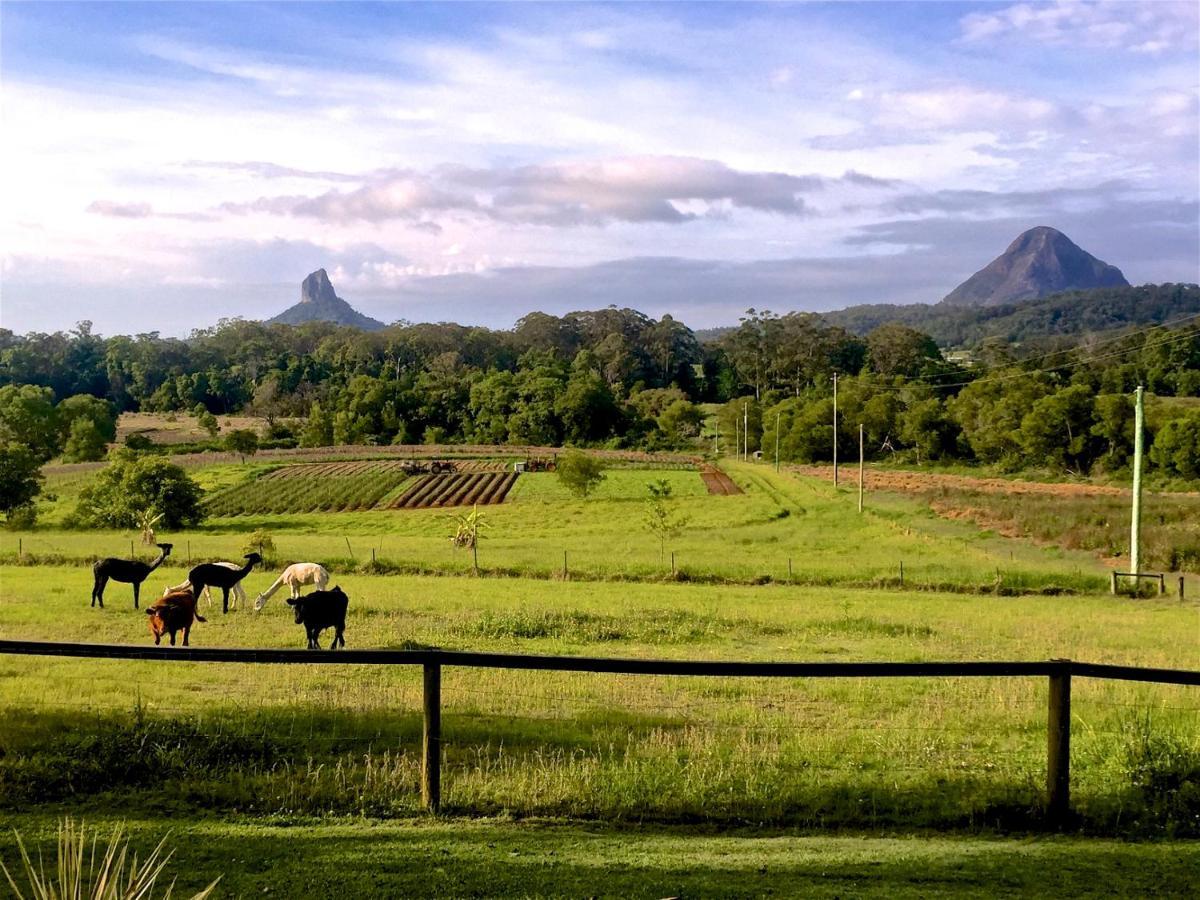 Blackwattle Farm Beerwah Room photo