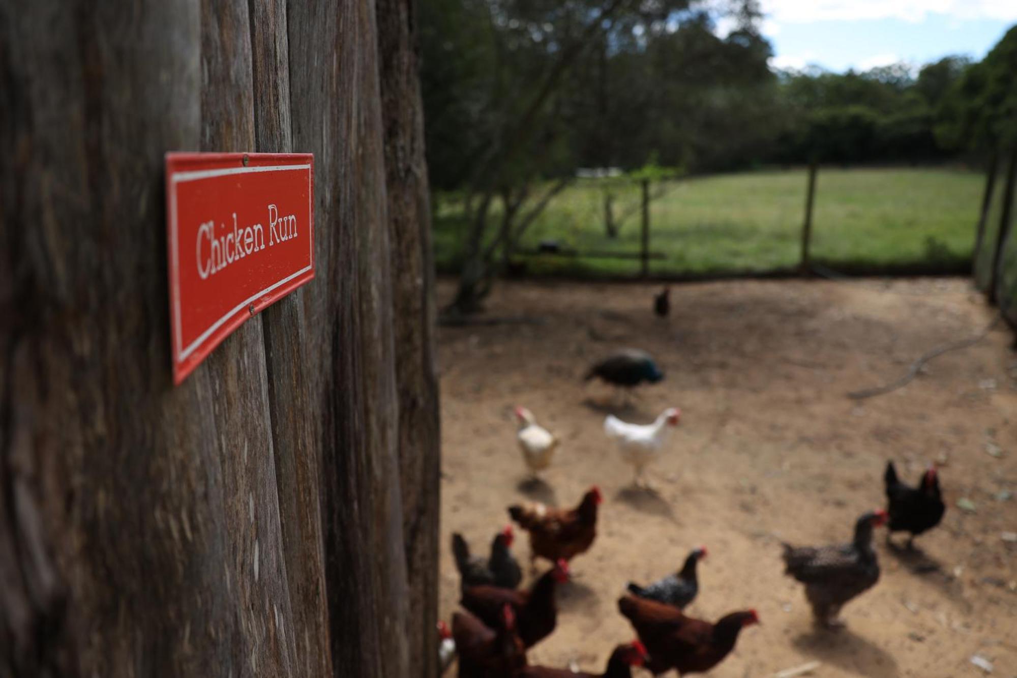 Blackwattle Farm Beerwah Exterior photo