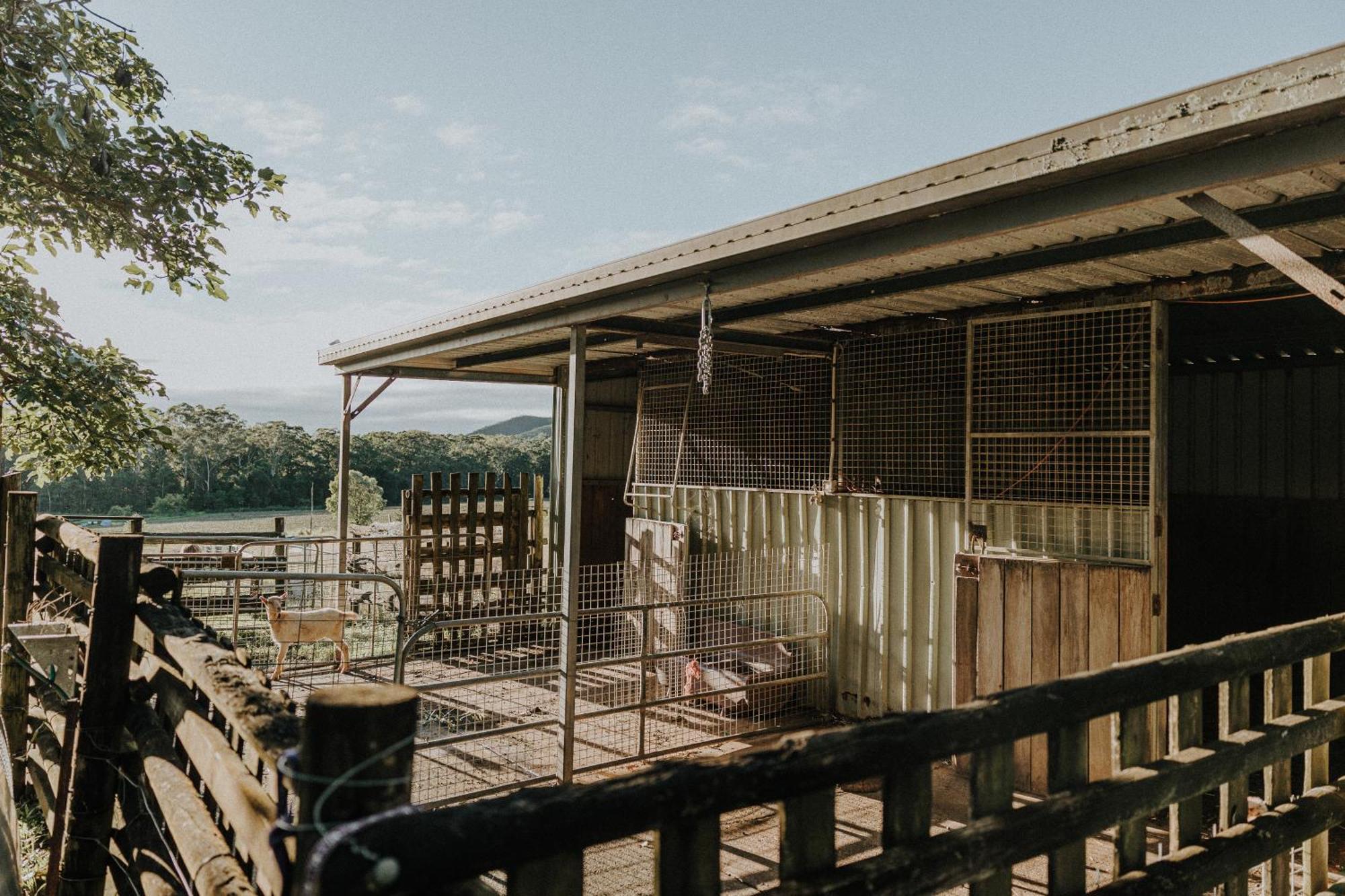 Blackwattle Farm Beerwah Exterior photo