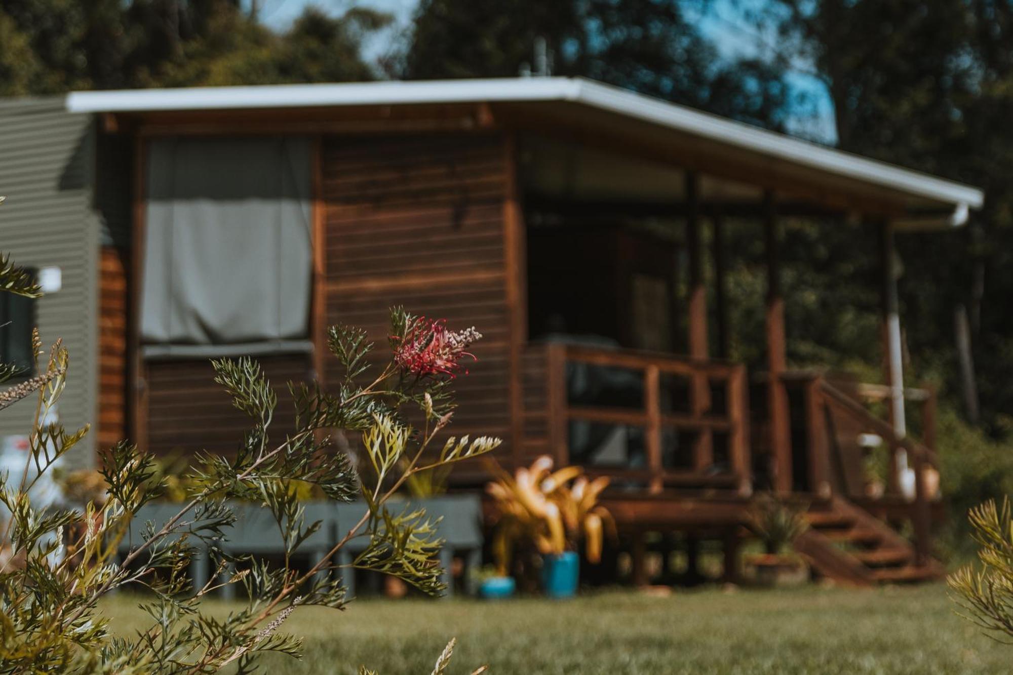 Blackwattle Farm Beerwah Exterior photo